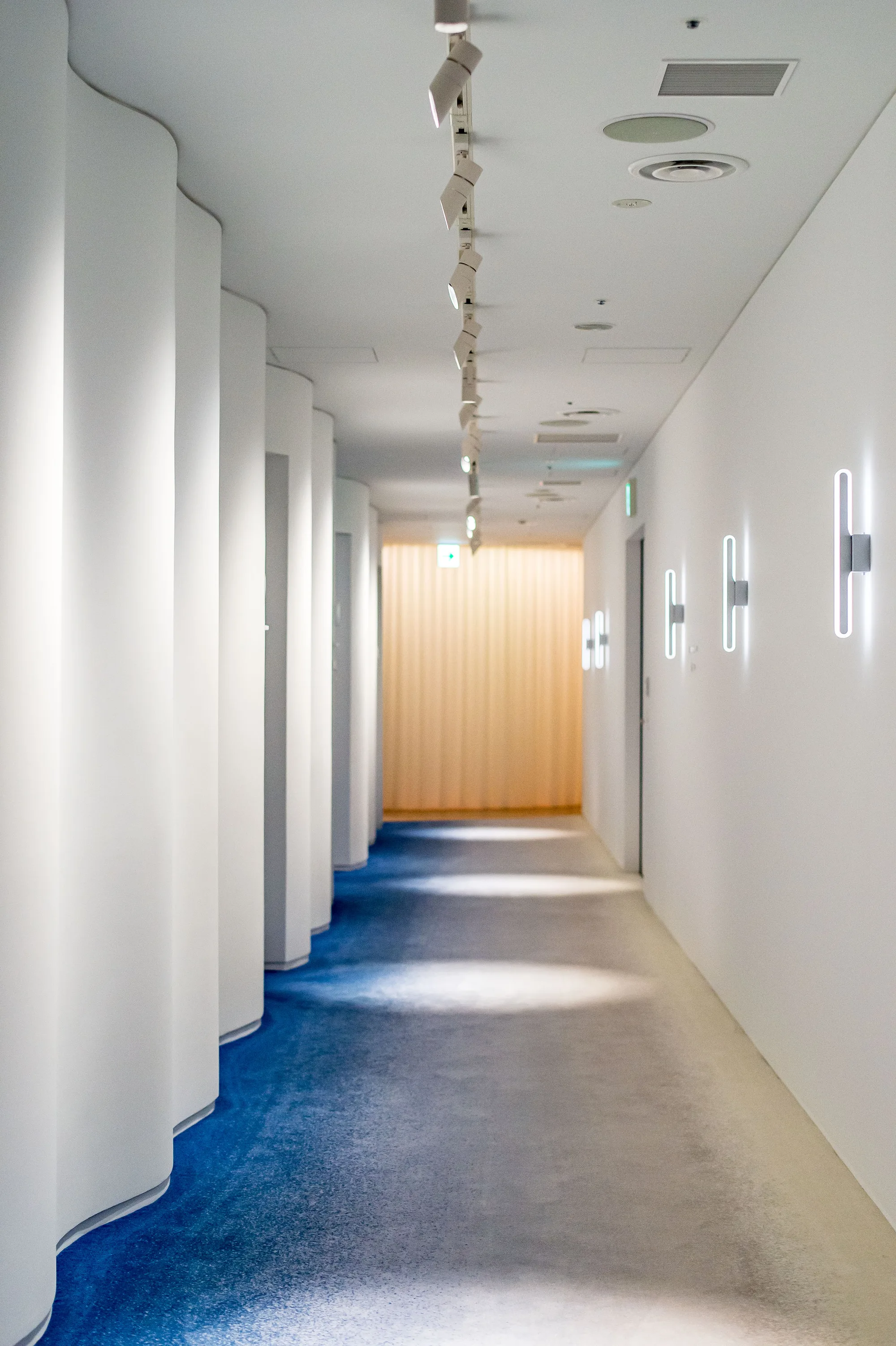 Curving corridor with rippled white walls, a blue carpet, and a timber wall at the end.
