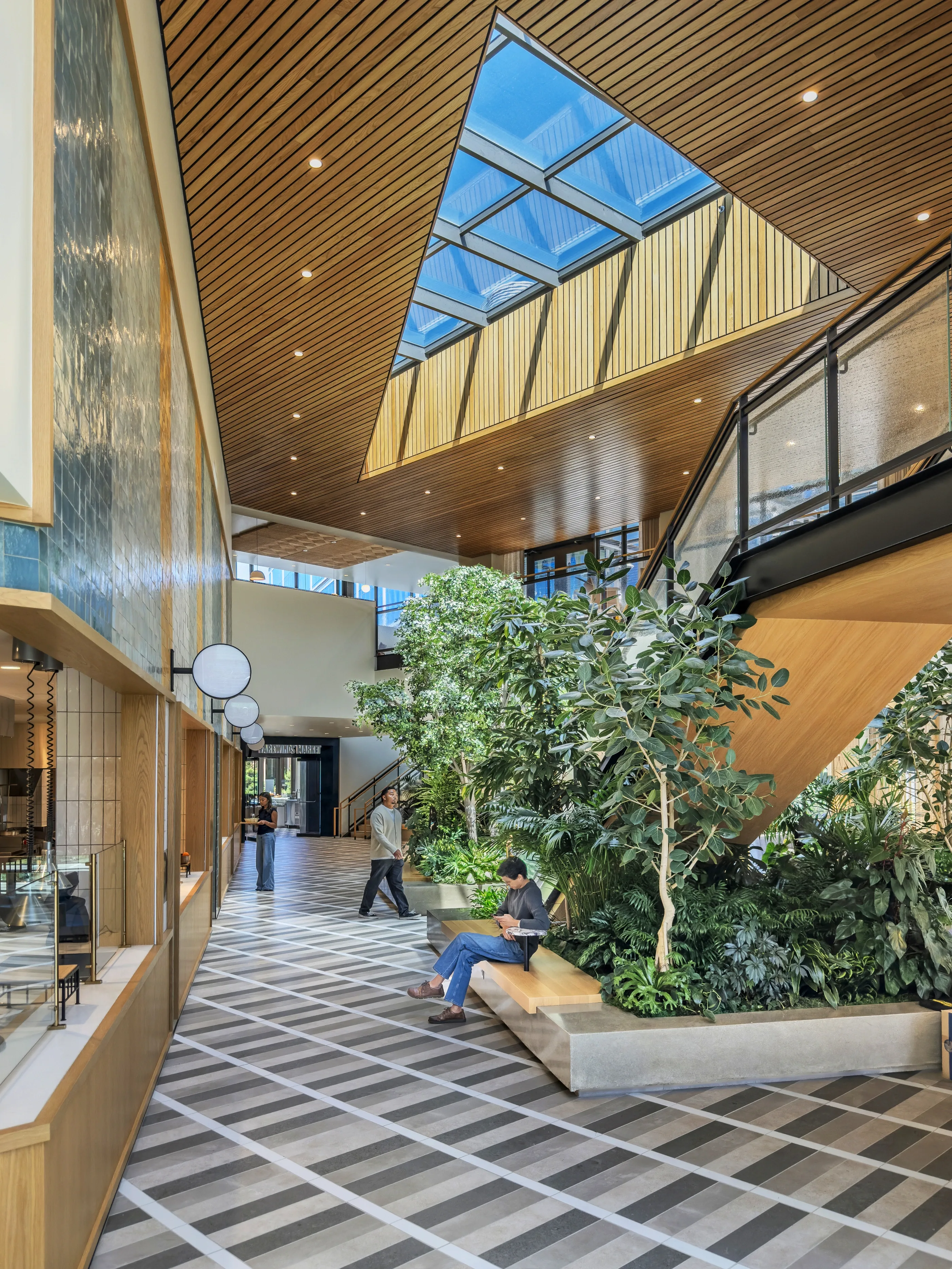 The food hall atrium: planting, daylight and a shared campus interior.
