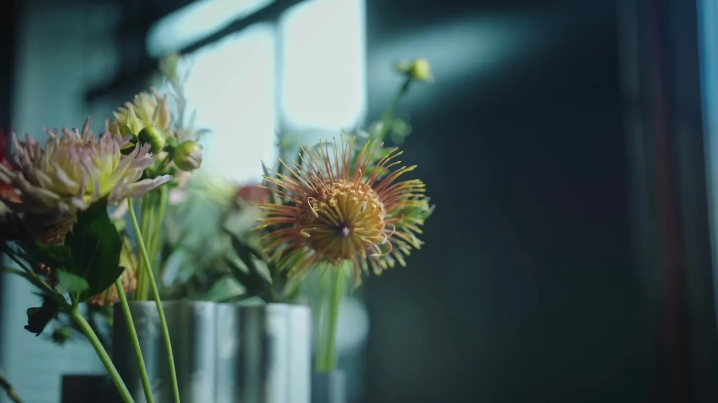 Close view of flowers beside a window in the LSD Running film.