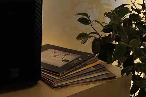 A stack of printed booklets on a pale plinth beside a leafy plant, lit in warm tones.
