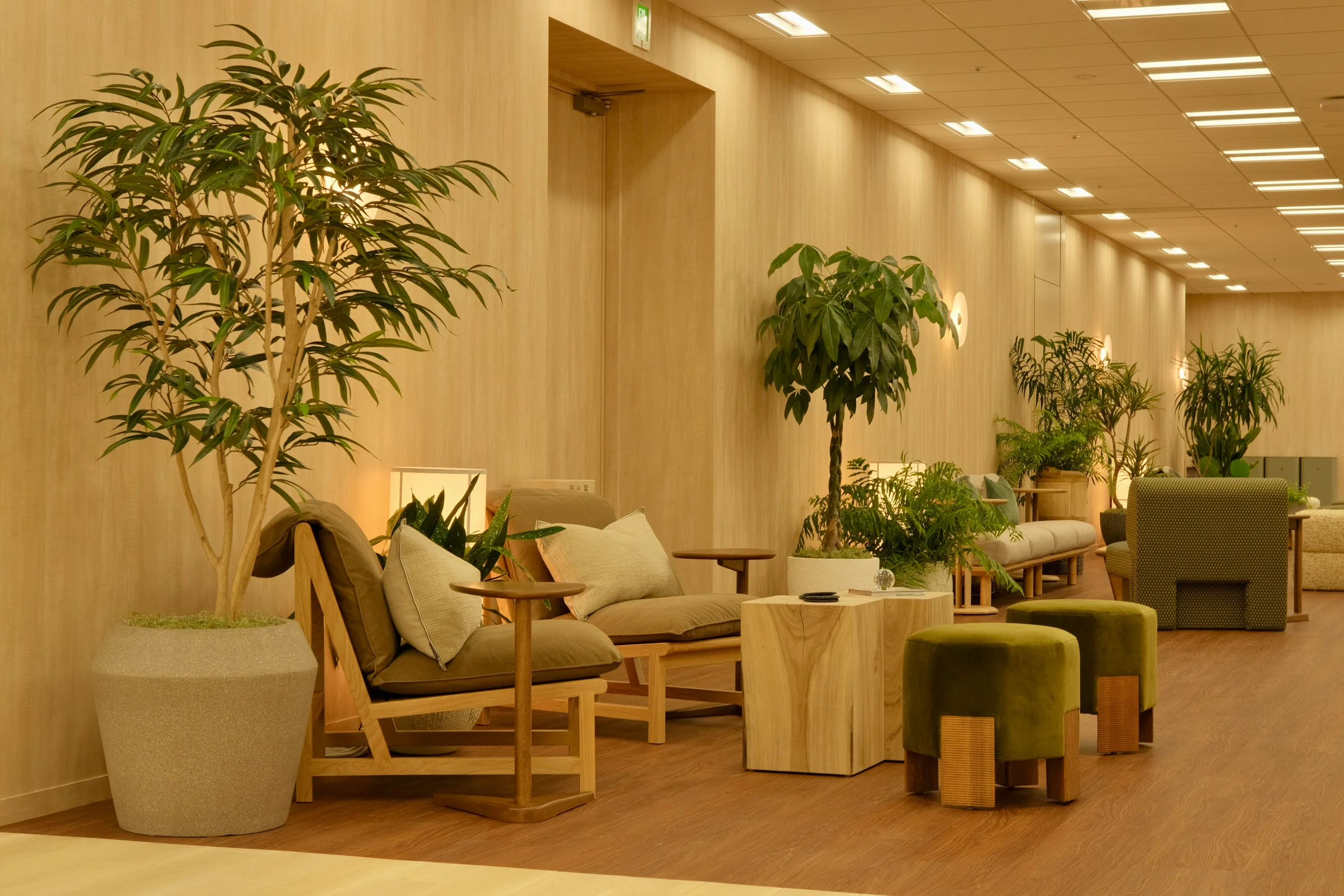 Armchairs, low tables and potted trees in a pale timber lounge.