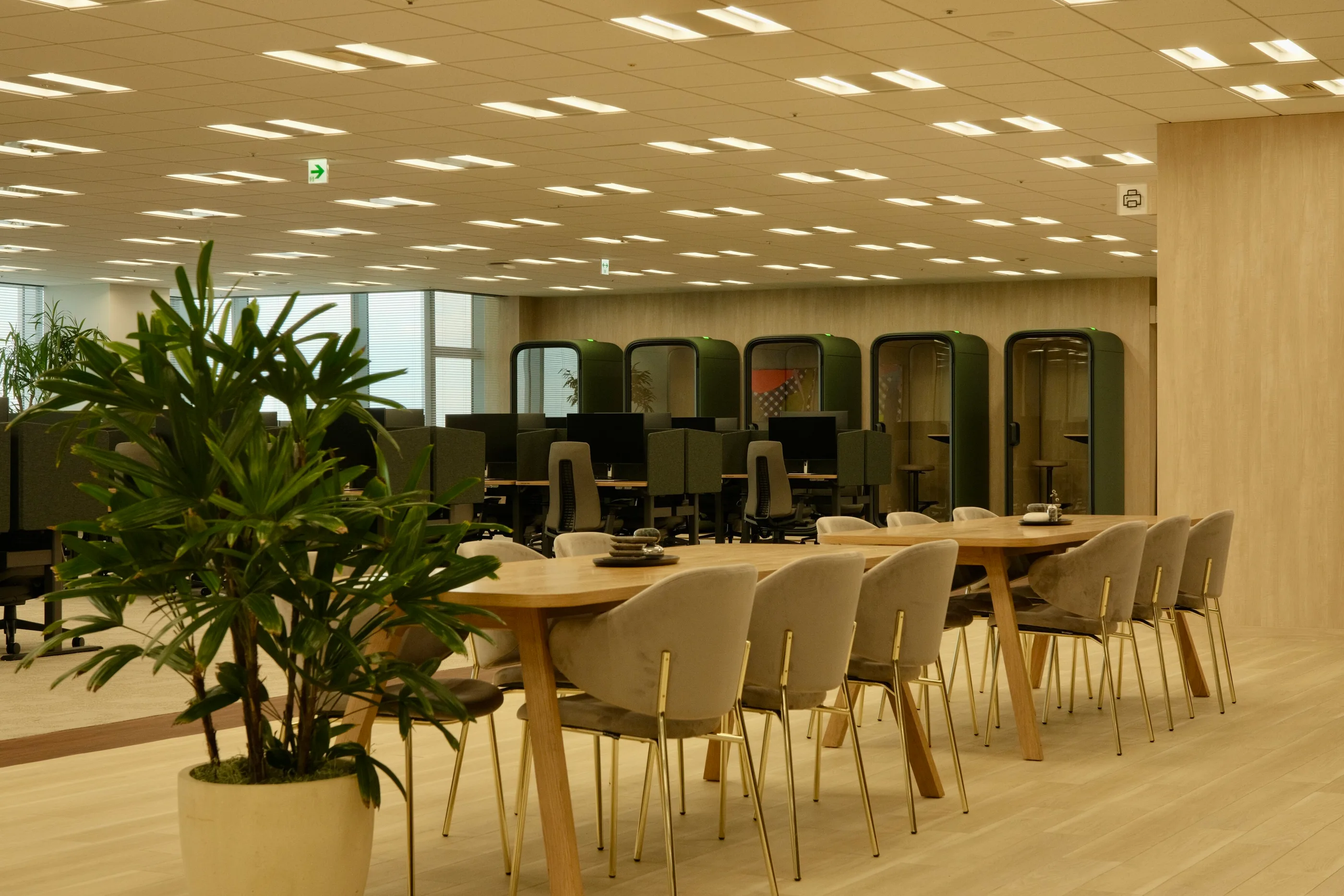 Open work floor with lounge seating and a planted foreground.